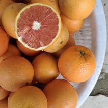 血橙江西血橙自产自销无中间商价格便宜品质保证