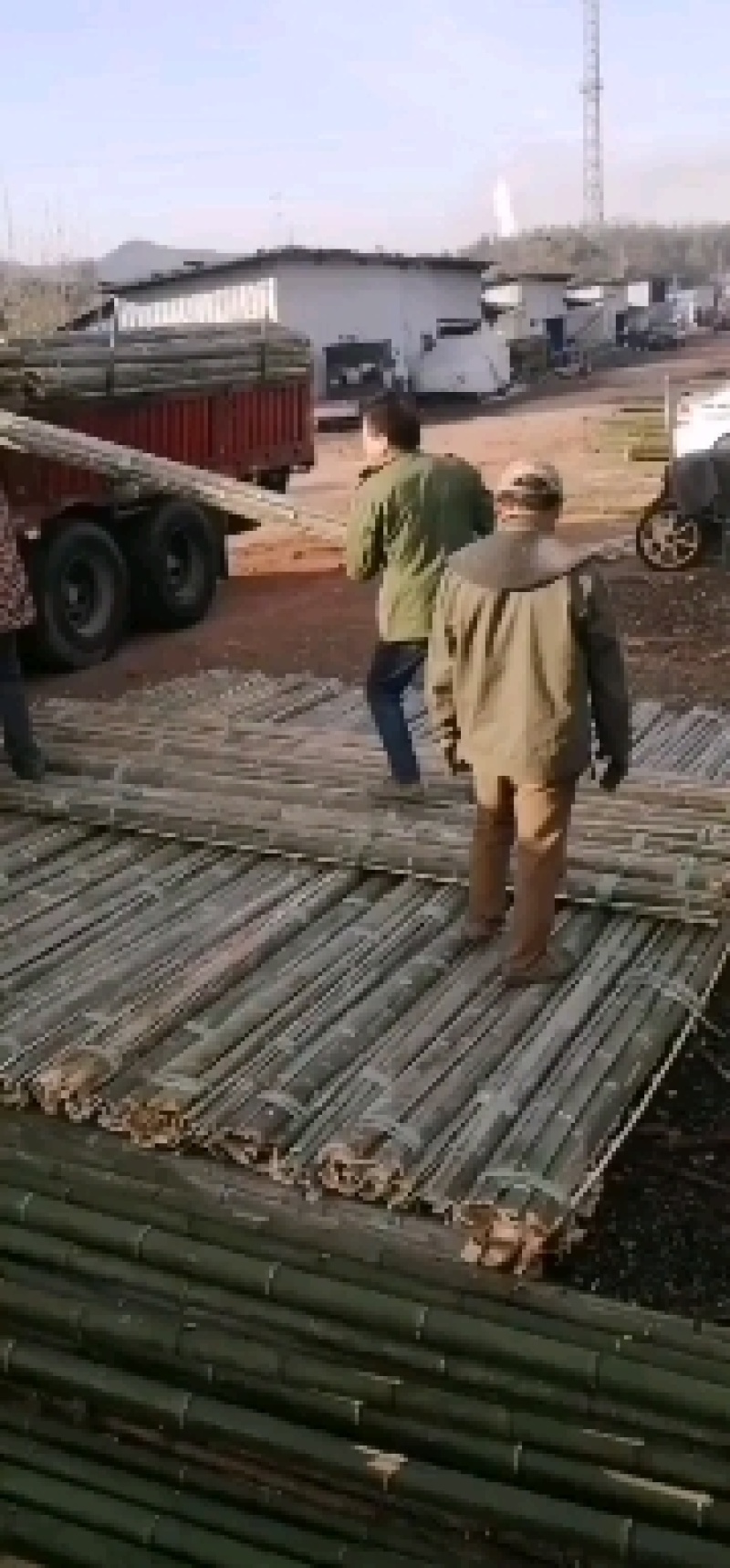 河南濮阳范县竹竿批发市场