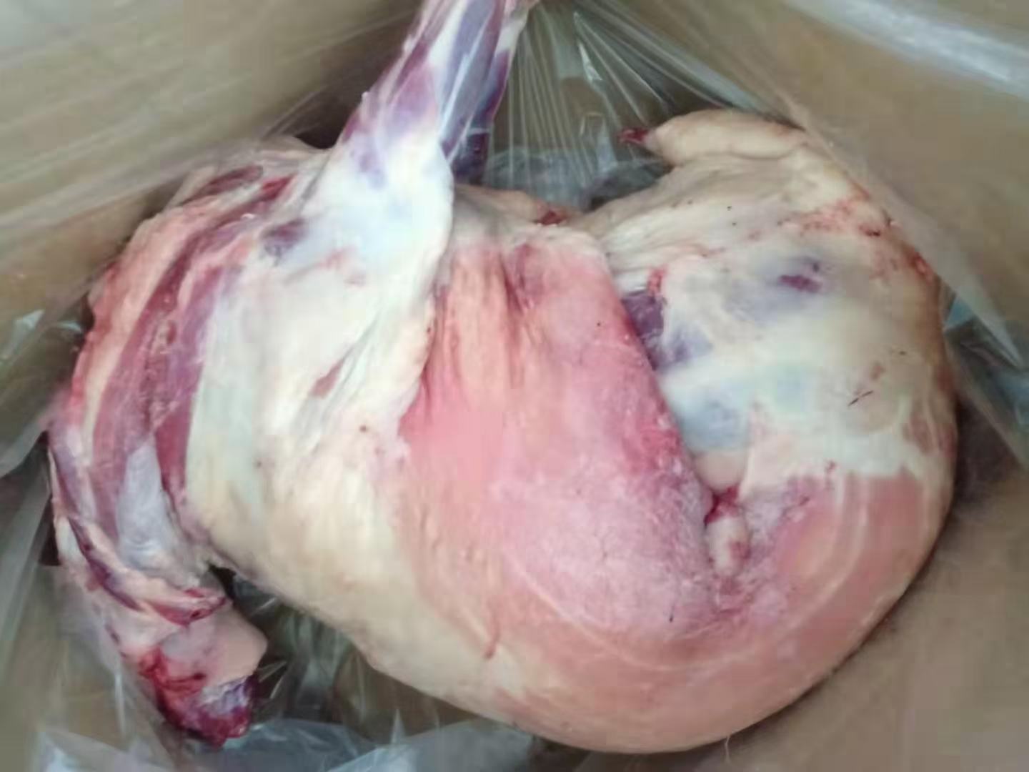 白条羊肉质细节图