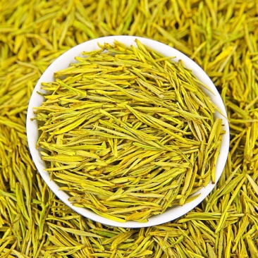 安吉黄茶安吉原产地安吉黄茶黄金芽