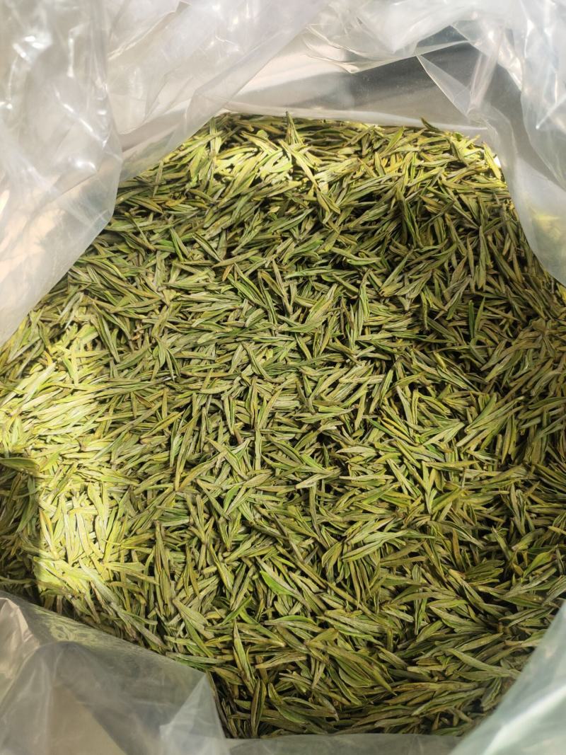 安吉黄茶安吉原产地安吉黄茶黄金芽