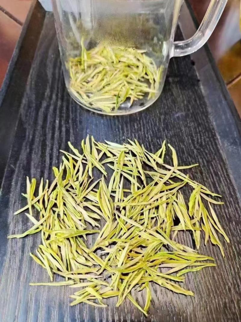 安吉黄茶安吉原产地安吉黄茶黄金芽