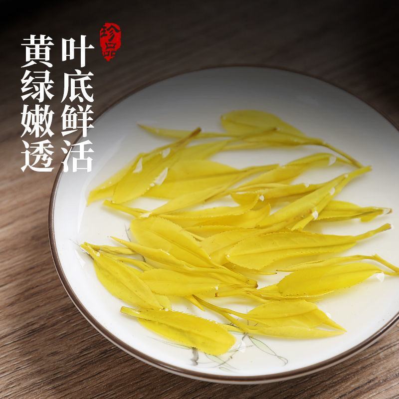 安吉黄茶安吉原产地安吉黄茶黄金芽
