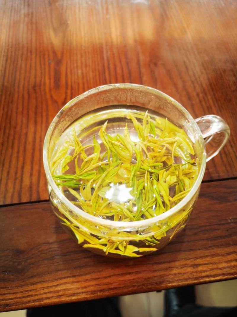 安吉黄茶安吉原产地安吉黄茶黄金芽