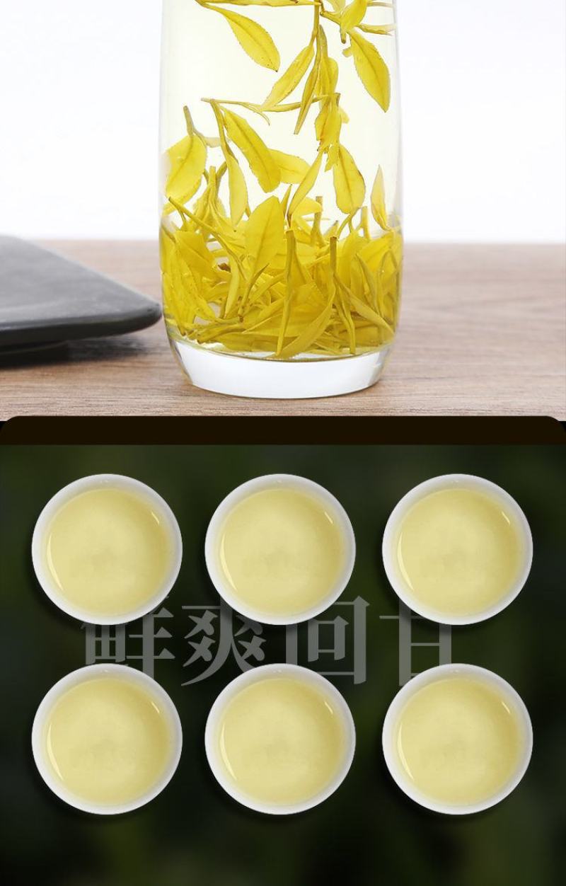 安吉黄茶安吉原产地安吉黄茶黄金芽