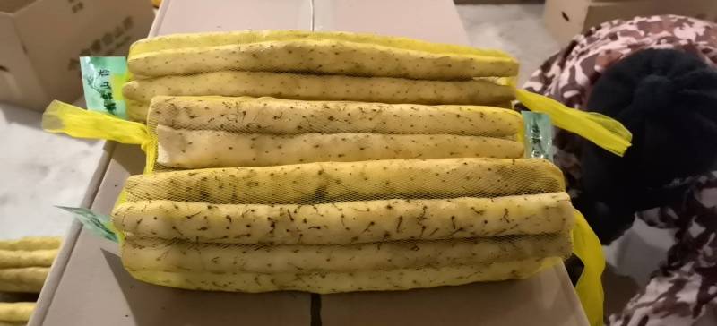 正宗小白嘴山药，精品网袋白山药。产地一手直发