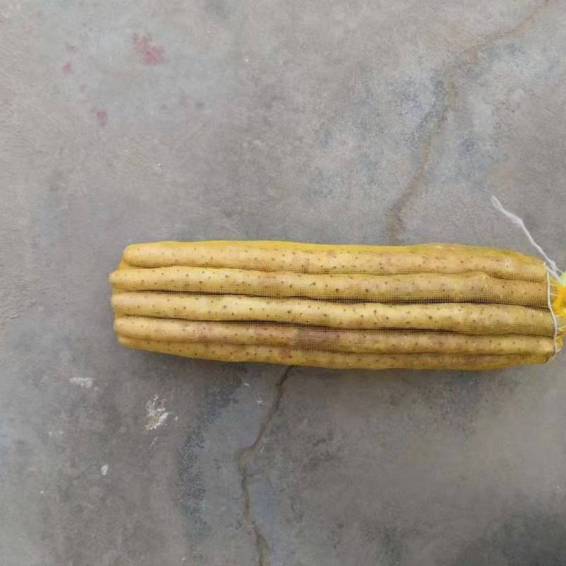 正宗小白嘴山药，精品网袋白山药。产地一手直发