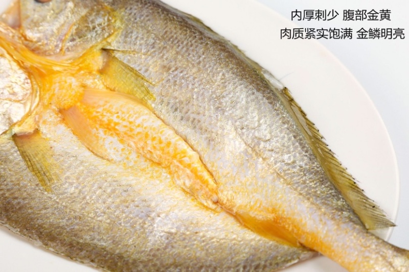 港口直发开背黄鱼，大黄鱼开背，全国冷链物流