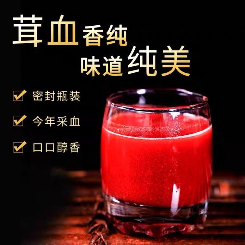 《明轩鹿业》鹿茸血加酒保鲜鹿茸血酒500毫升