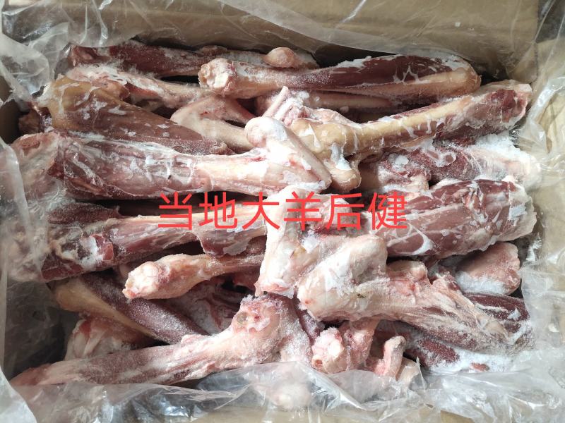 【大羊后小腿】当地草原羊的后健！带拐筋新鲜速冻！全国接单