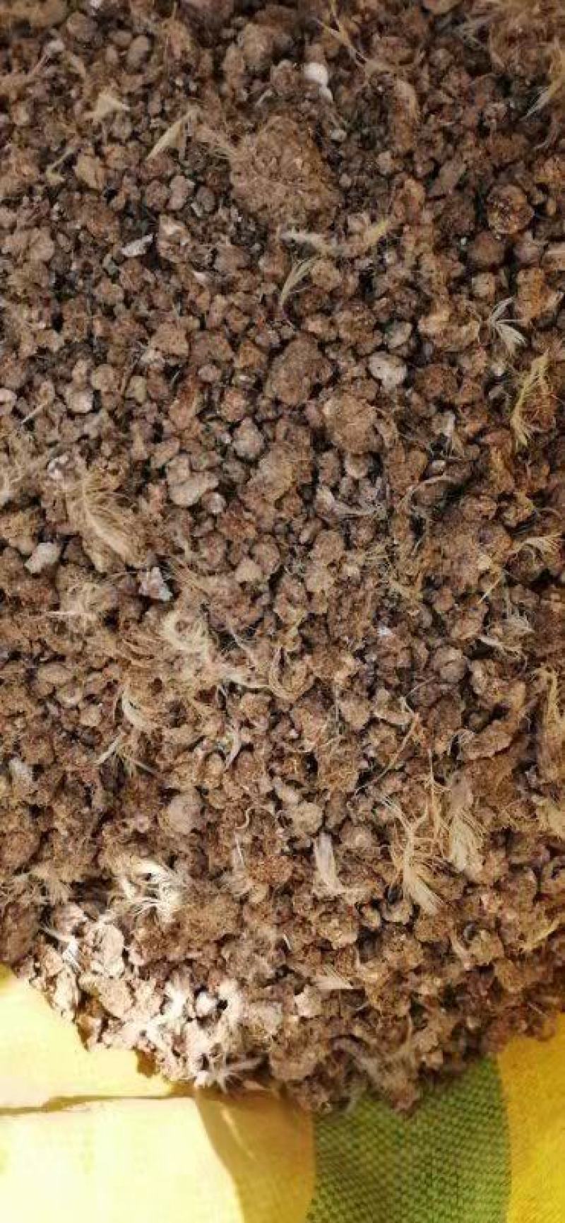鹌鹑粪颗粒有机肥颗粒鹌鹑粪块状鹌鹑粪肥料
