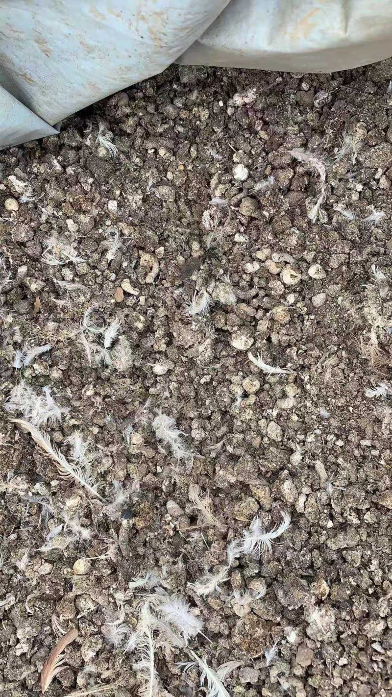 鹌鹑粪颗粒有机肥颗粒鹌鹑粪块状鹌鹑粪肥料