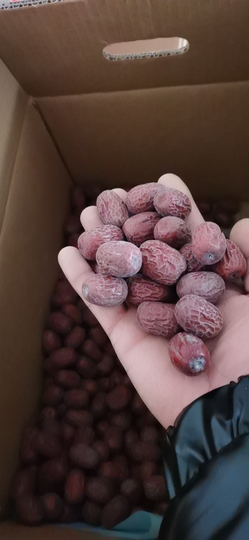 新疆吊干一级灰枣特卖品，特级，超特，各个级别都有。