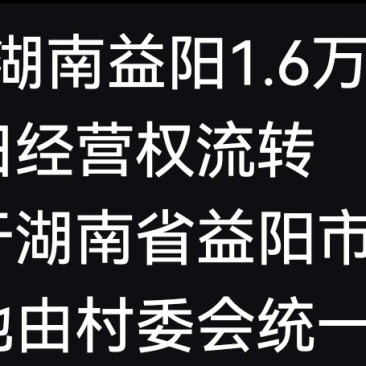 稻田流转