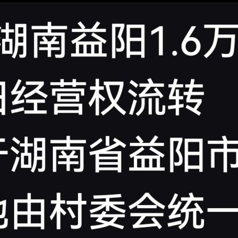 稻田流转