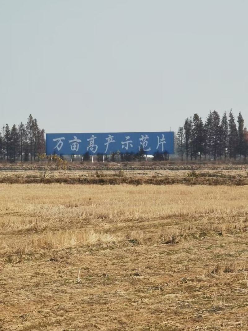 稻田流转