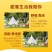 爆米花批发散装大袋批发