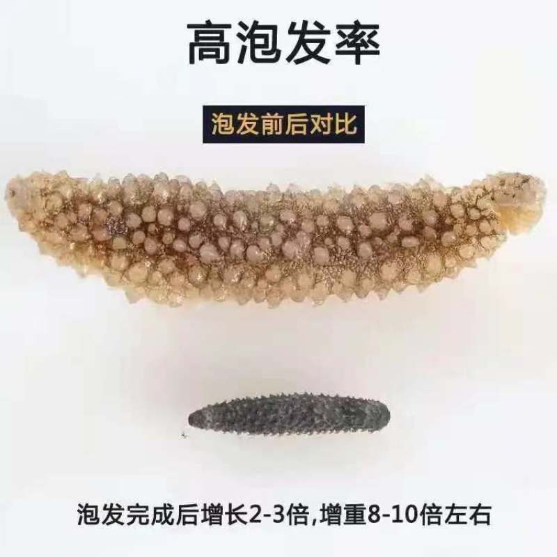 深海刺参刺黄参海参米刺参秃参淡干海参干货非土耳其刺