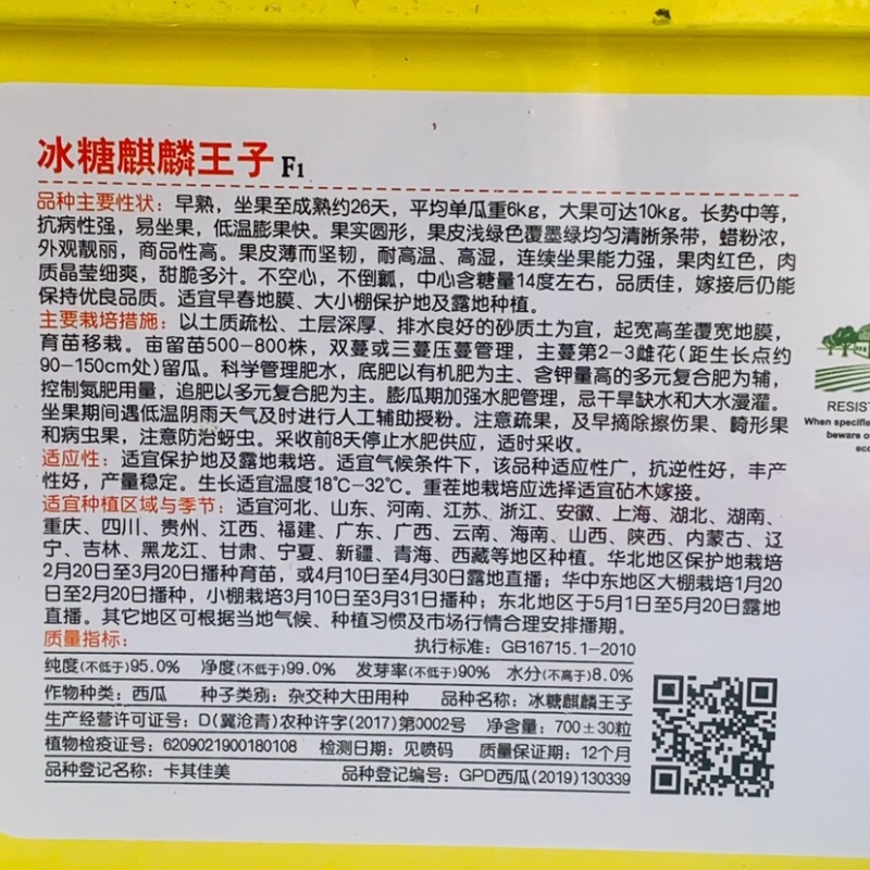 卡其冰糖麒麟王子种子麒麟西瓜种子早熟皮薄糖度14耐高温