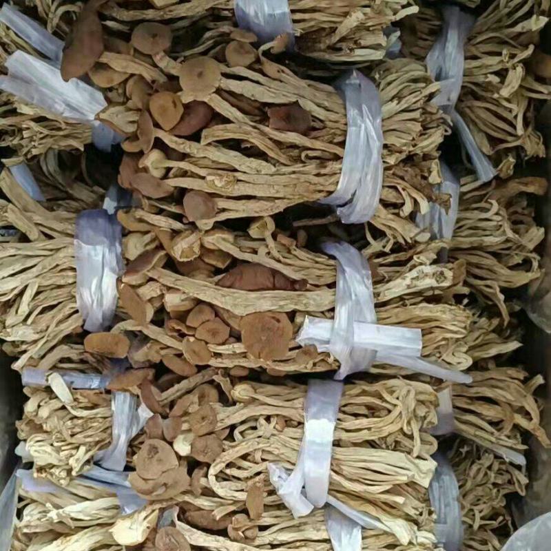 批发【茶树菇】茶树菇剪脚和带脚大货实惠整箱批发