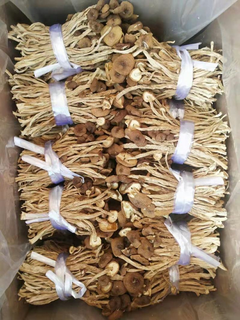 批发【茶树菇】茶树菇剪脚和带脚大货实惠整箱批发