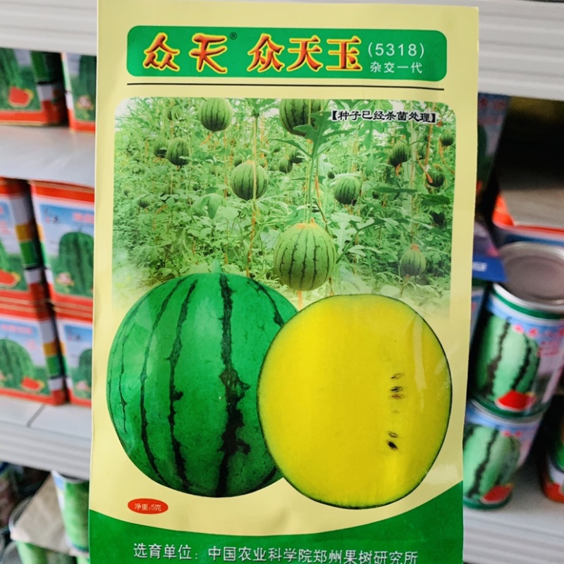 众天玉花皮黄瓤西瓜种子小兰西瓜杂交一代种肉质细脆口感好