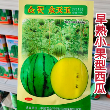 众天玉花皮黄瓤西瓜种子小兰西瓜杂交一代种肉质细脆口感好