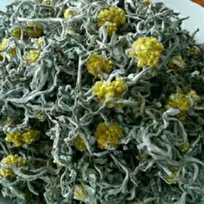野生鼠曲草清明草佛耳草500克鼠鞠草田艾绒