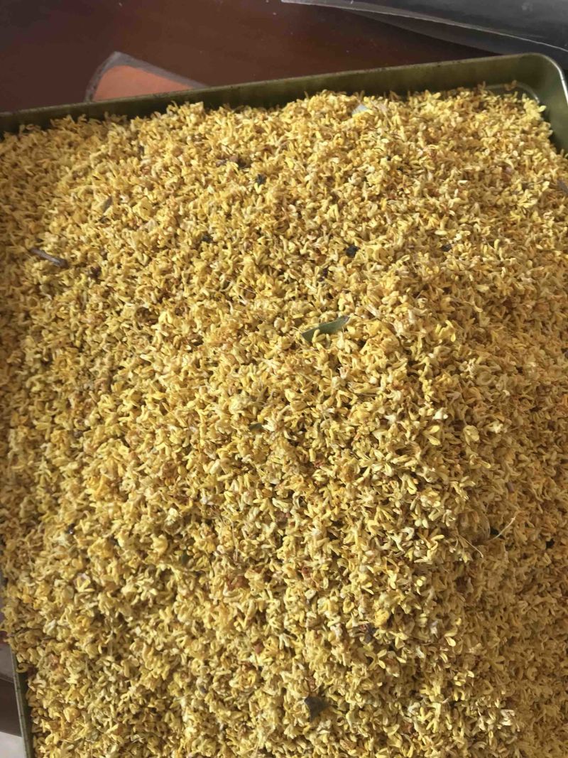 2022年新货优质桂花干桂花茶
