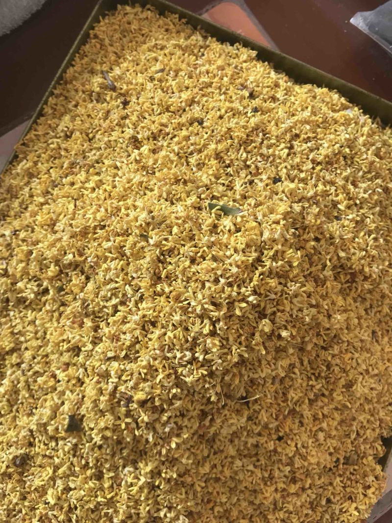 2022年新货优质桂花干桂花茶