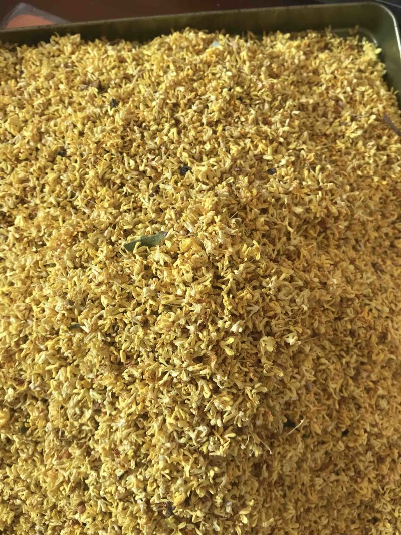 2022年新货优质桂花干桂花茶
