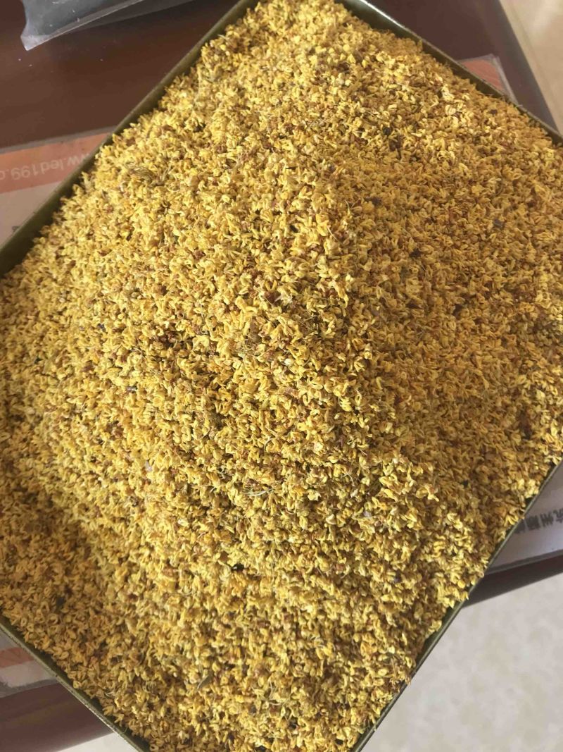 2022年新货优质桂花干桂花茶