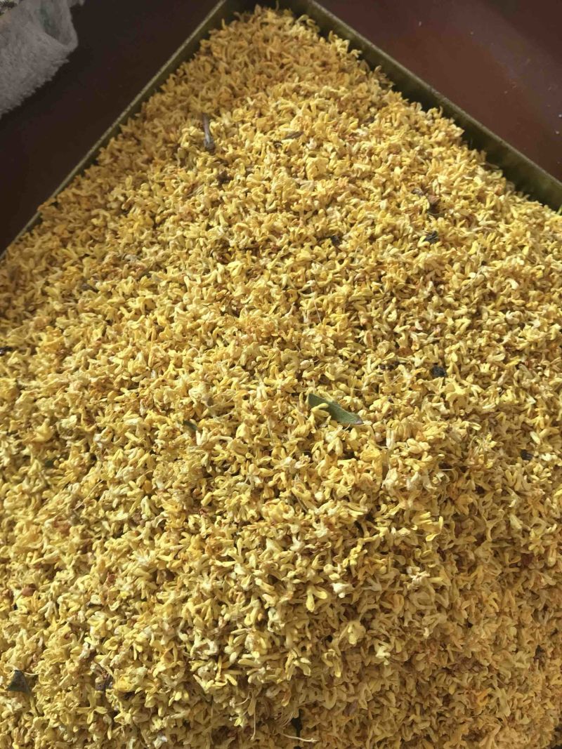2022年新货优质桂花干桂花茶