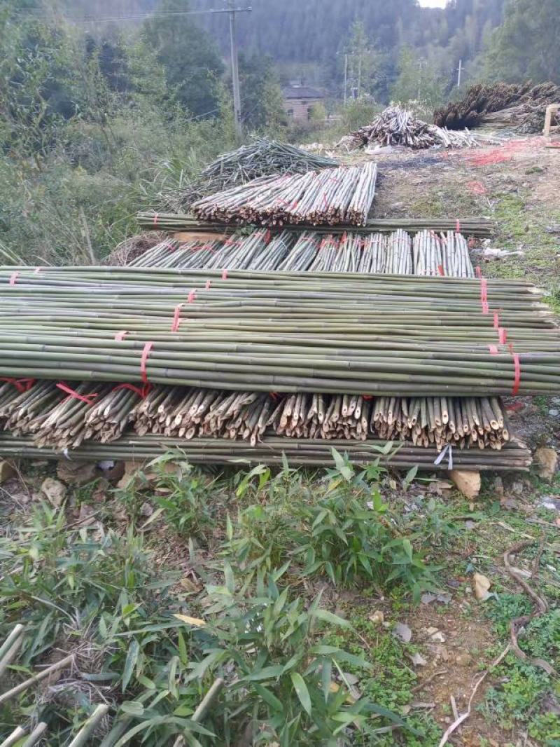 河南濮阳范县竹竿批发市场