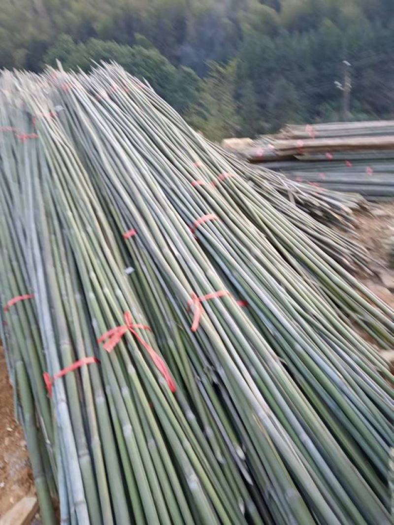 河南濮阳范县竹竿批发市场