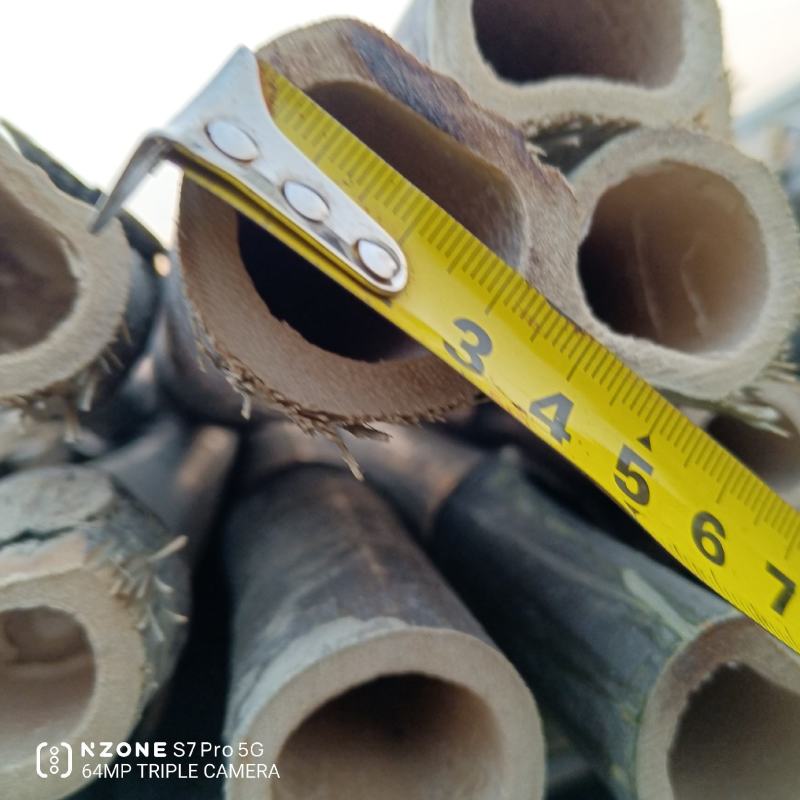 河南濮阳范县竹竿批发市场