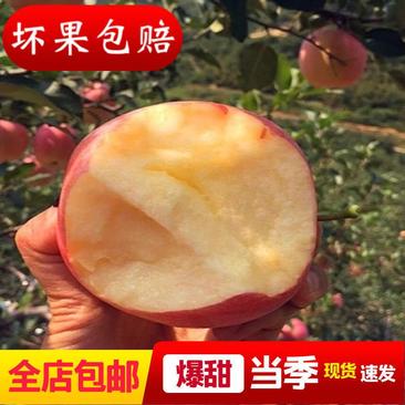 【好果超划算】洛川红富士苹果脆甜多汁当季一件代发批发