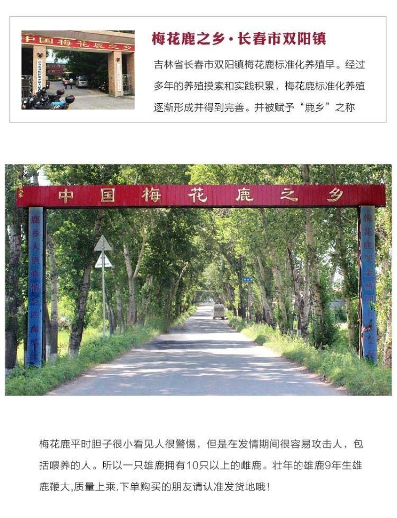 《明轩鹿业》鹿鞭尾酒新品上市125毫升