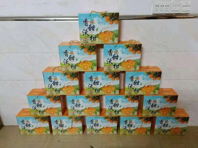 广西贺州沃柑大量上市啦，颜色上来，甜度也上了，个头大