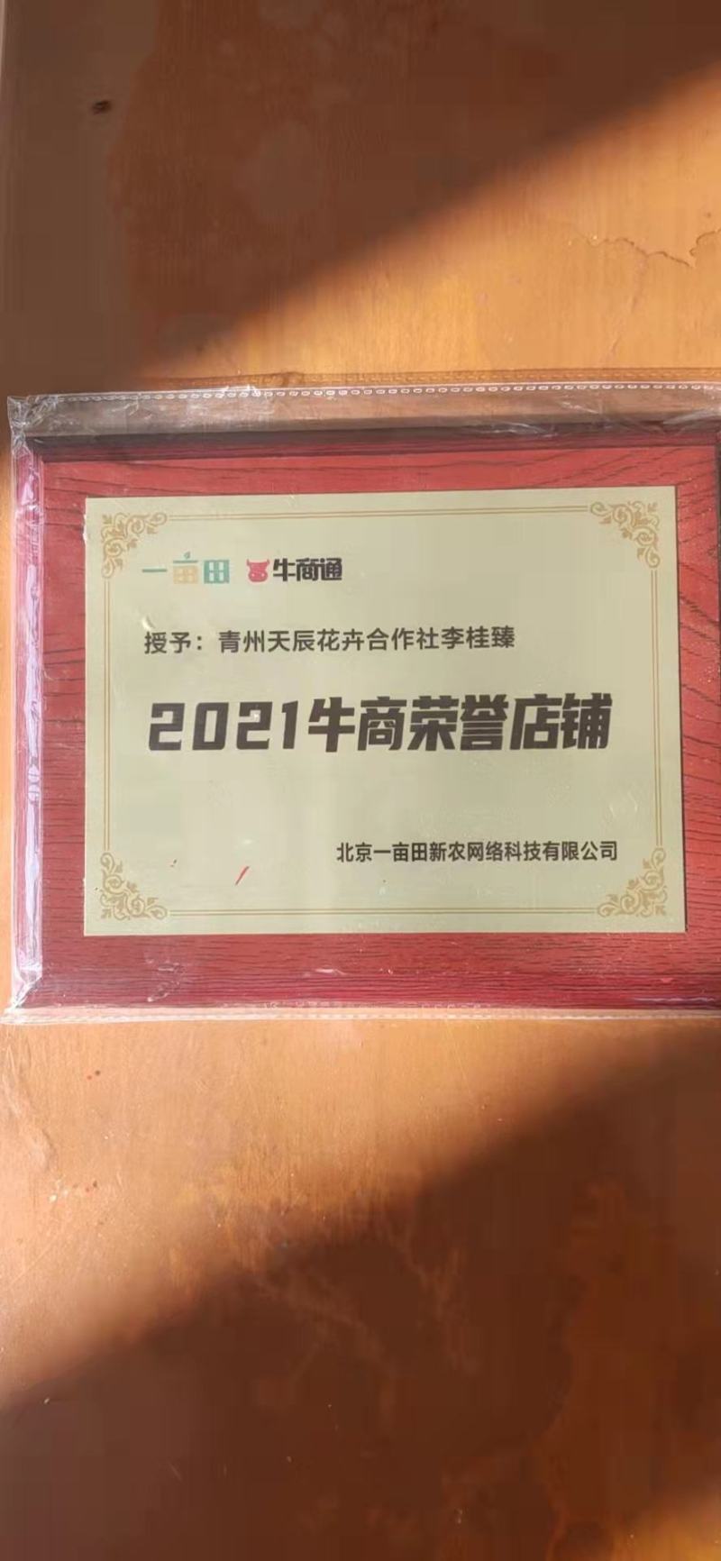【精品】国庆菊，千头菊，大菊花，质优价廉