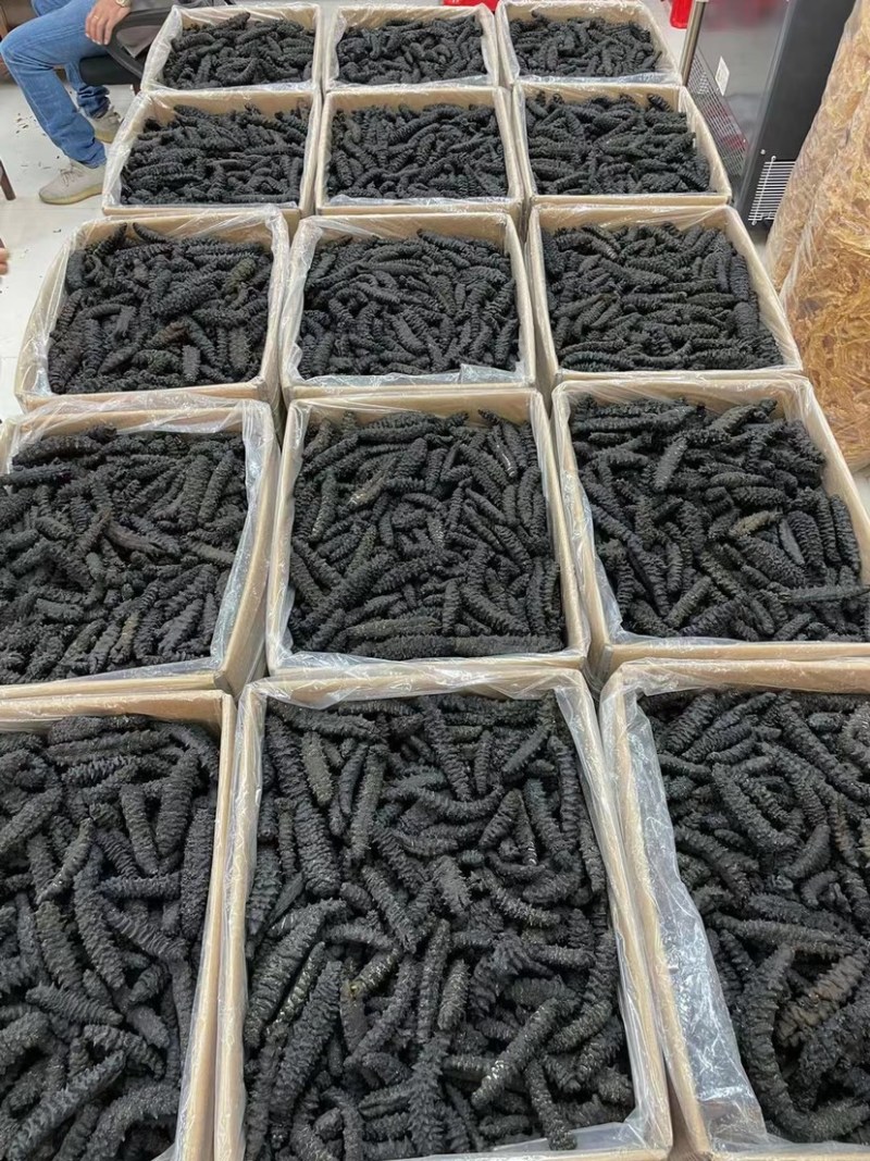 海参龙纹参螺纹参刺参长刺精选品质原产地货批发酒店食材