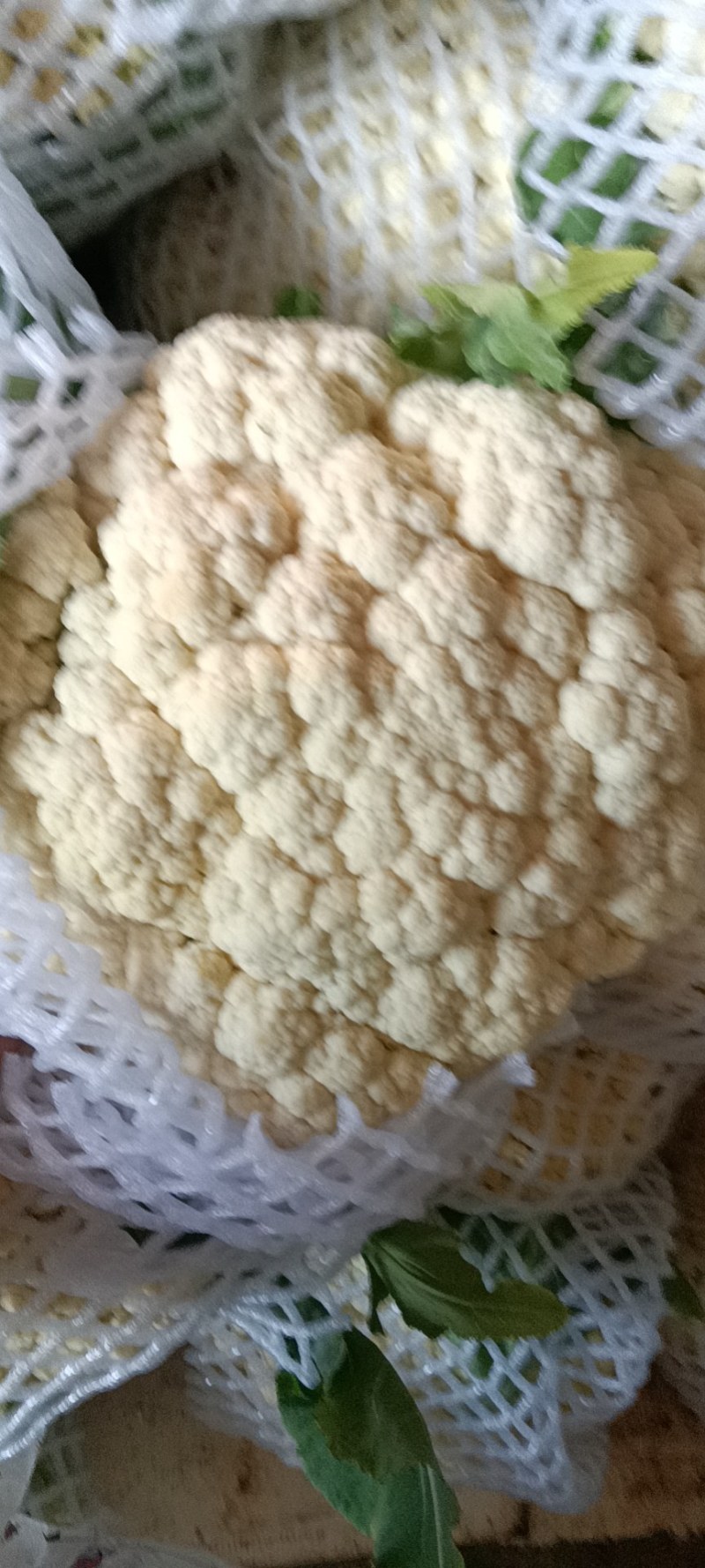 精品有机花大量供应各大批发市场超市大米，中米，小米