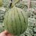 推荐2021年昌乐西瓜新品种贝贝西瓜种子