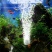 鱼缸增氧泵家用水族箱氧气泵usb静音充氧泵钓鱼冲氧泵小型