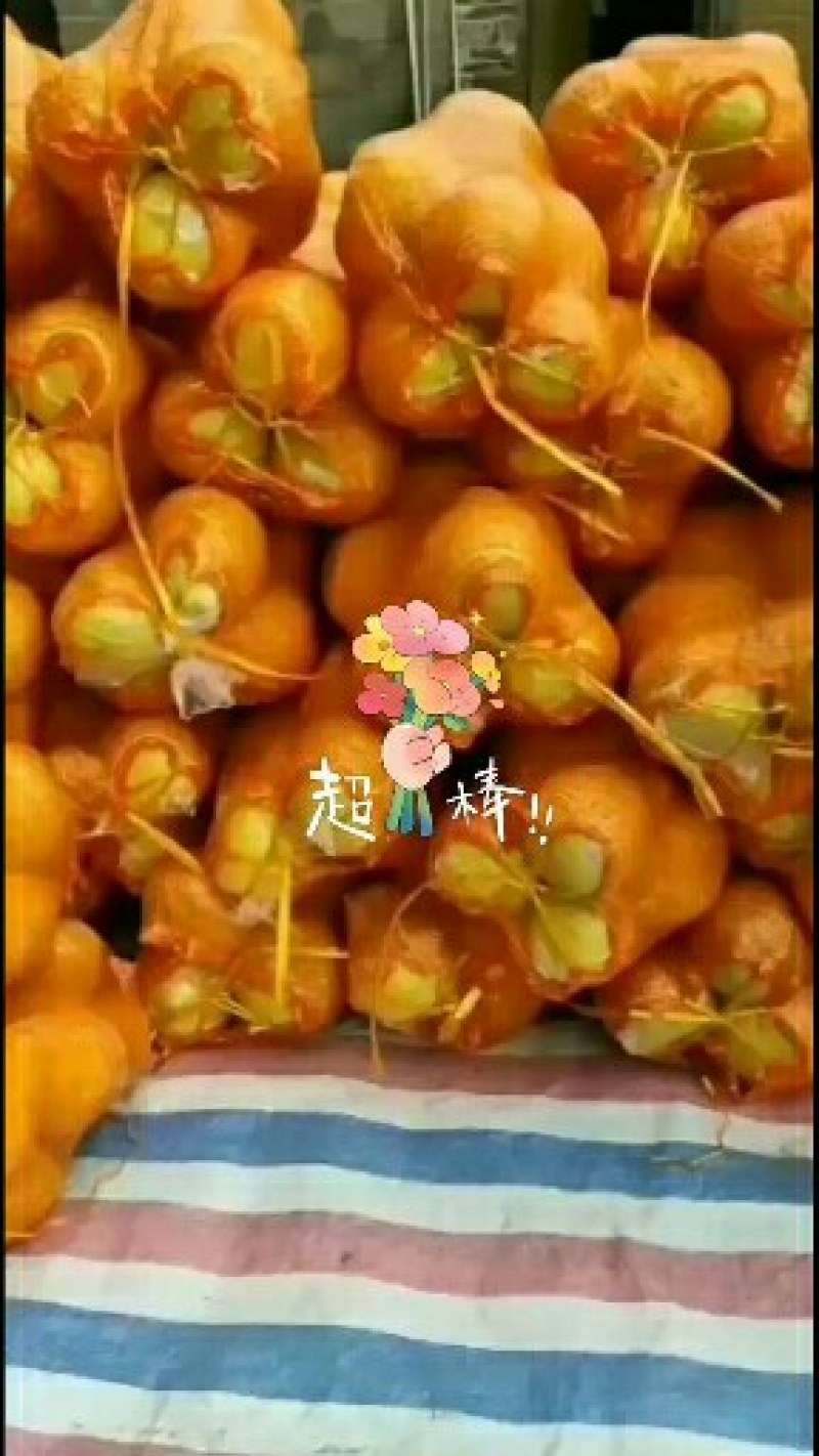 湖南江永正宗老树沙田柚，皮薄肉厚，多汁，糖份高，水份足。