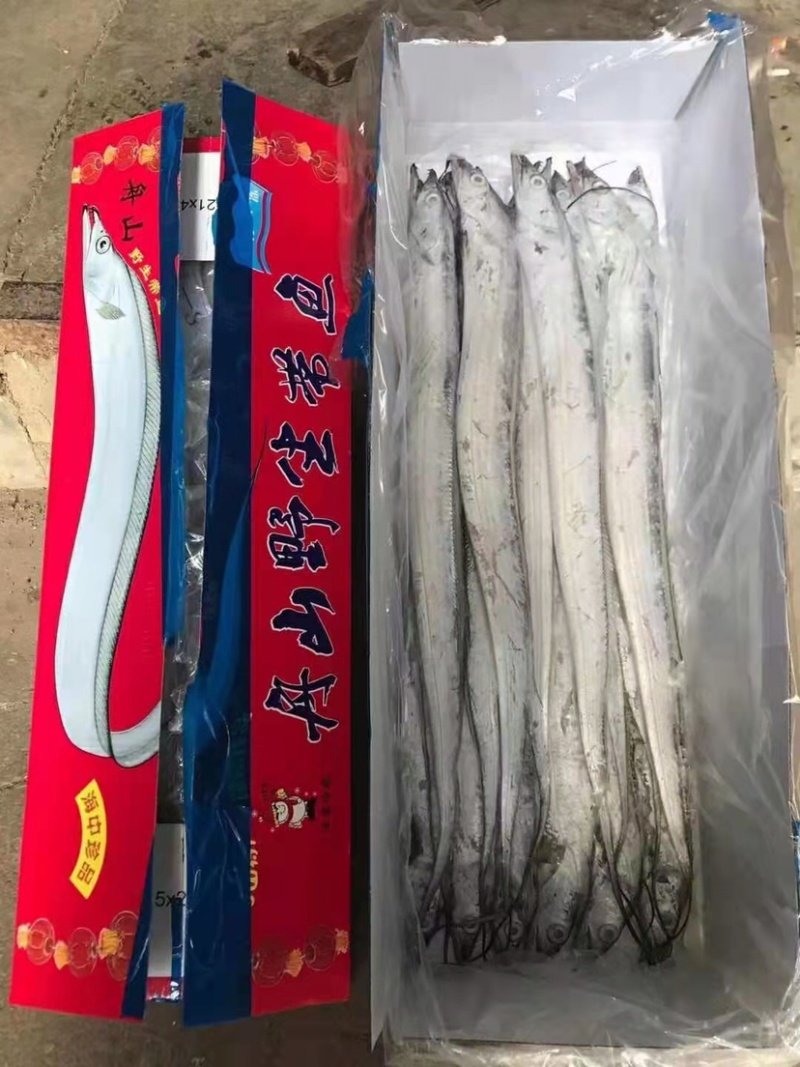 网红小带鱼小礼盒带鱼4斤装，畅销款，走量款