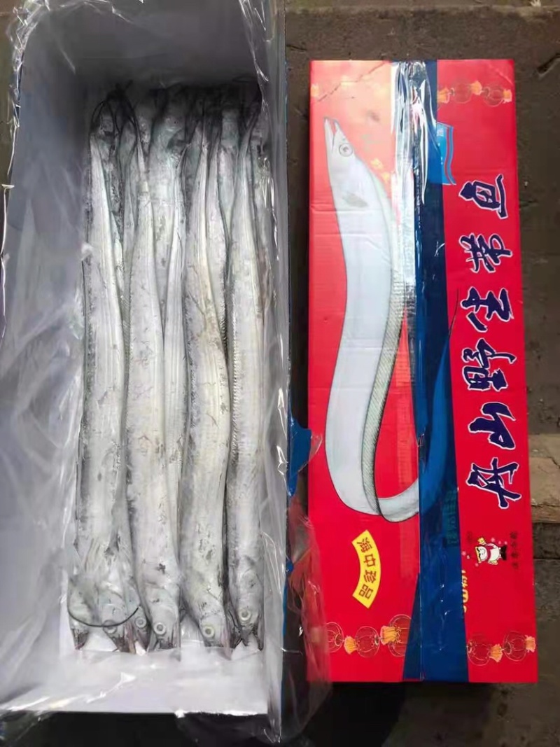 网红小带鱼小礼盒带鱼4斤装，畅销款，走量款