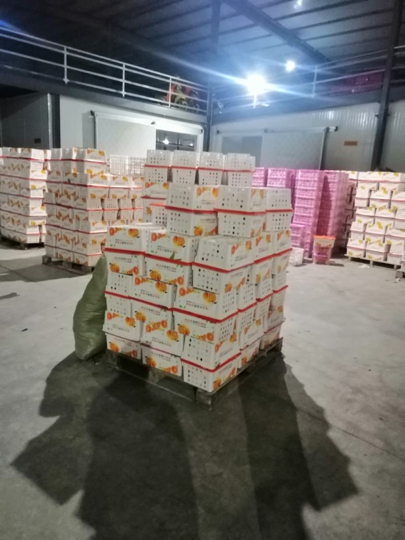 耙耙柑，水份好，味道甜，颜色红个头大，价格便宜。