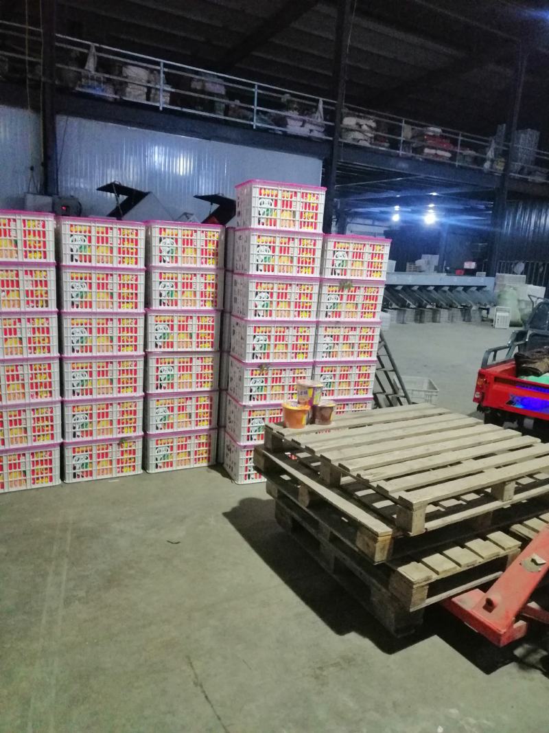 耙耙柑，水份好，味道甜，颜色红个头大，价格便宜。