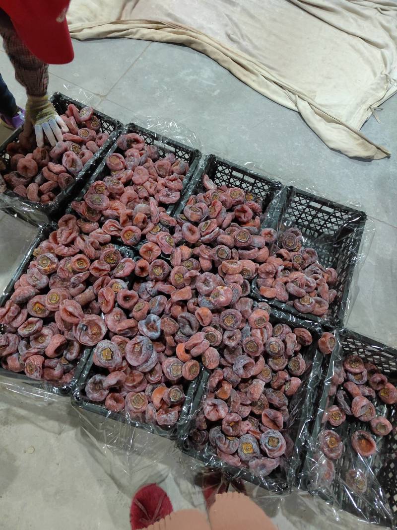 康茂柿饼大肉饼